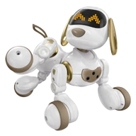 Ruko 18011 RC Robot Dog Toy